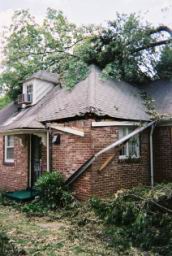Strong,Louise-WindStorm-Jul2003-R1-038-17A.jpg