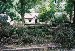 Strong,Louise-WindStorm-Jul2003-R1-062-29A.jpg